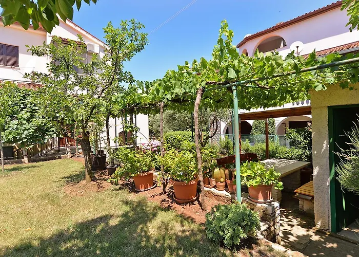 Milan 1174 * بولا