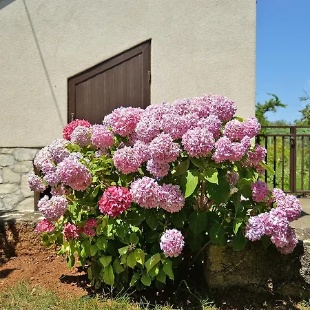 Apartman Milan 1174 *